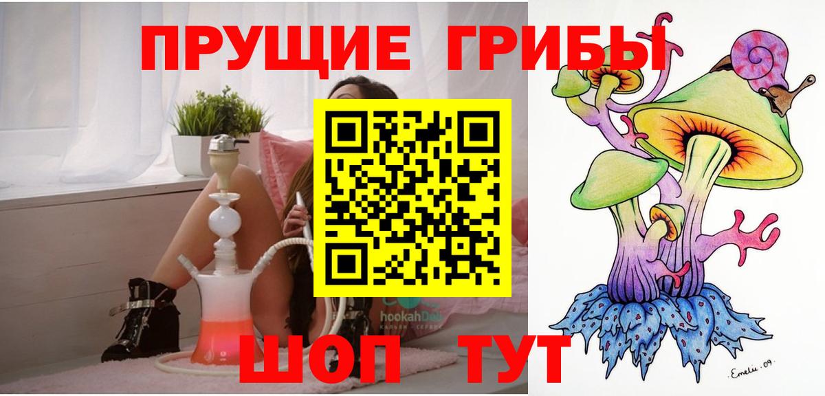 Псилоцибиновые грибы GOLDEN TEACHER Благодарный